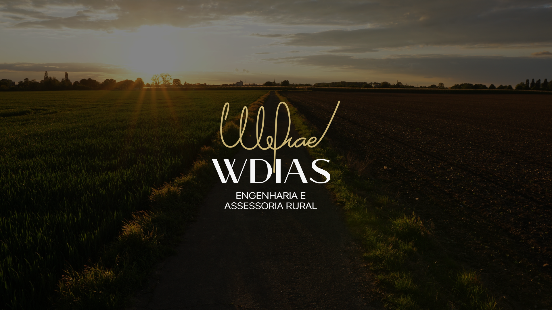 Identidade WDIAS aplicada a uma paisagem rural